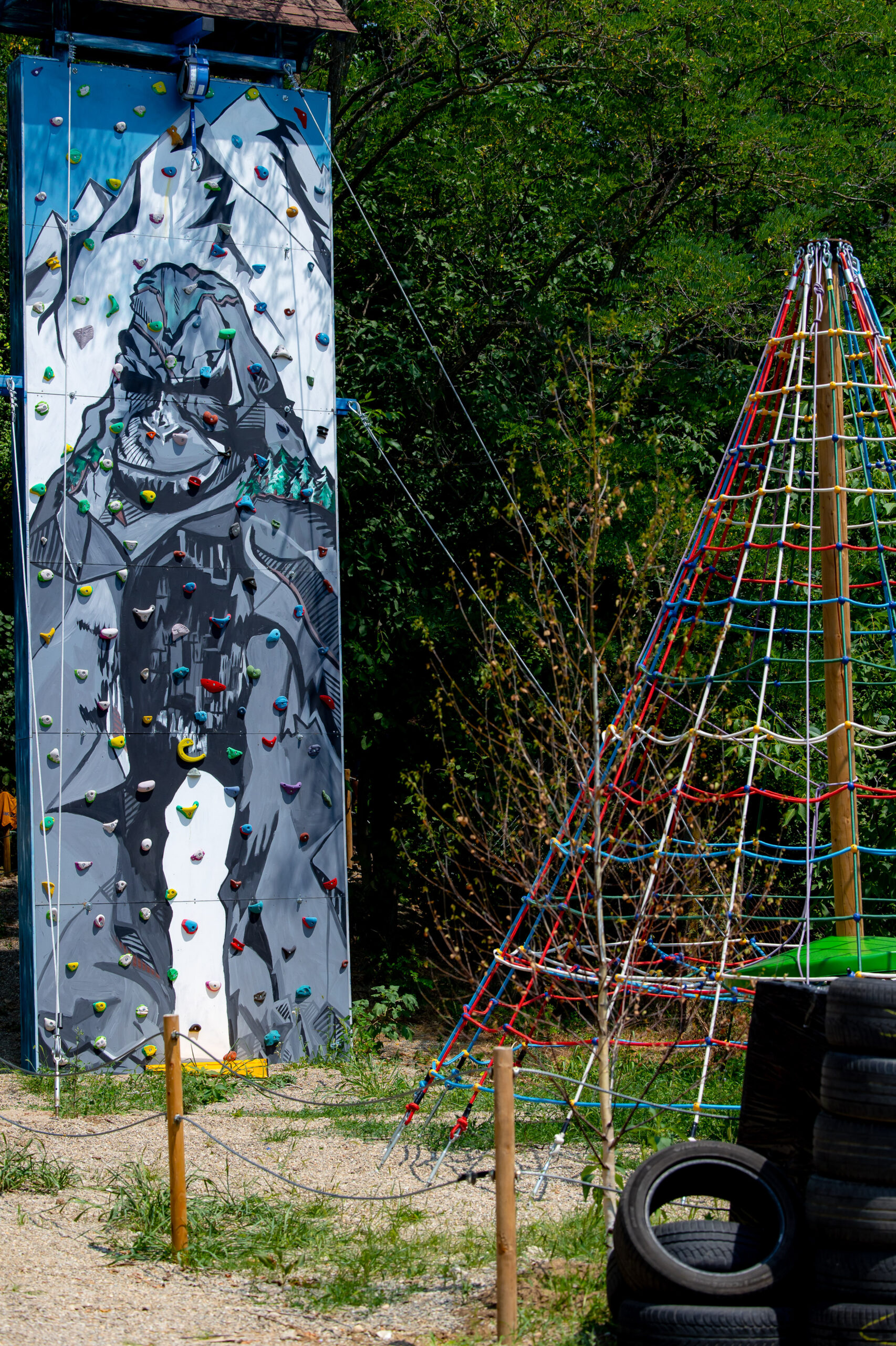 Escaladă Magic Woodland