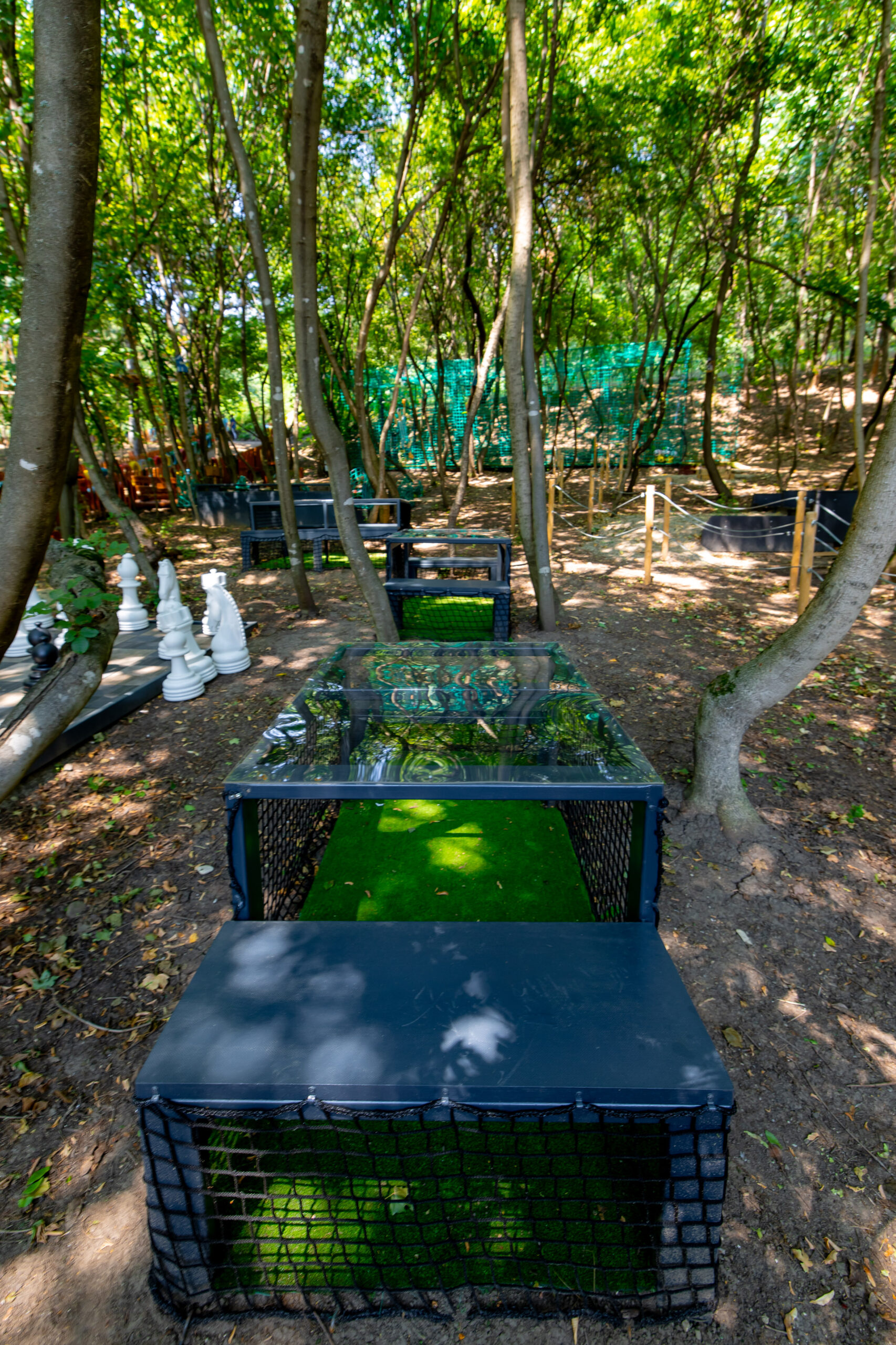 Fotbal pe sub masă Magic Woodland