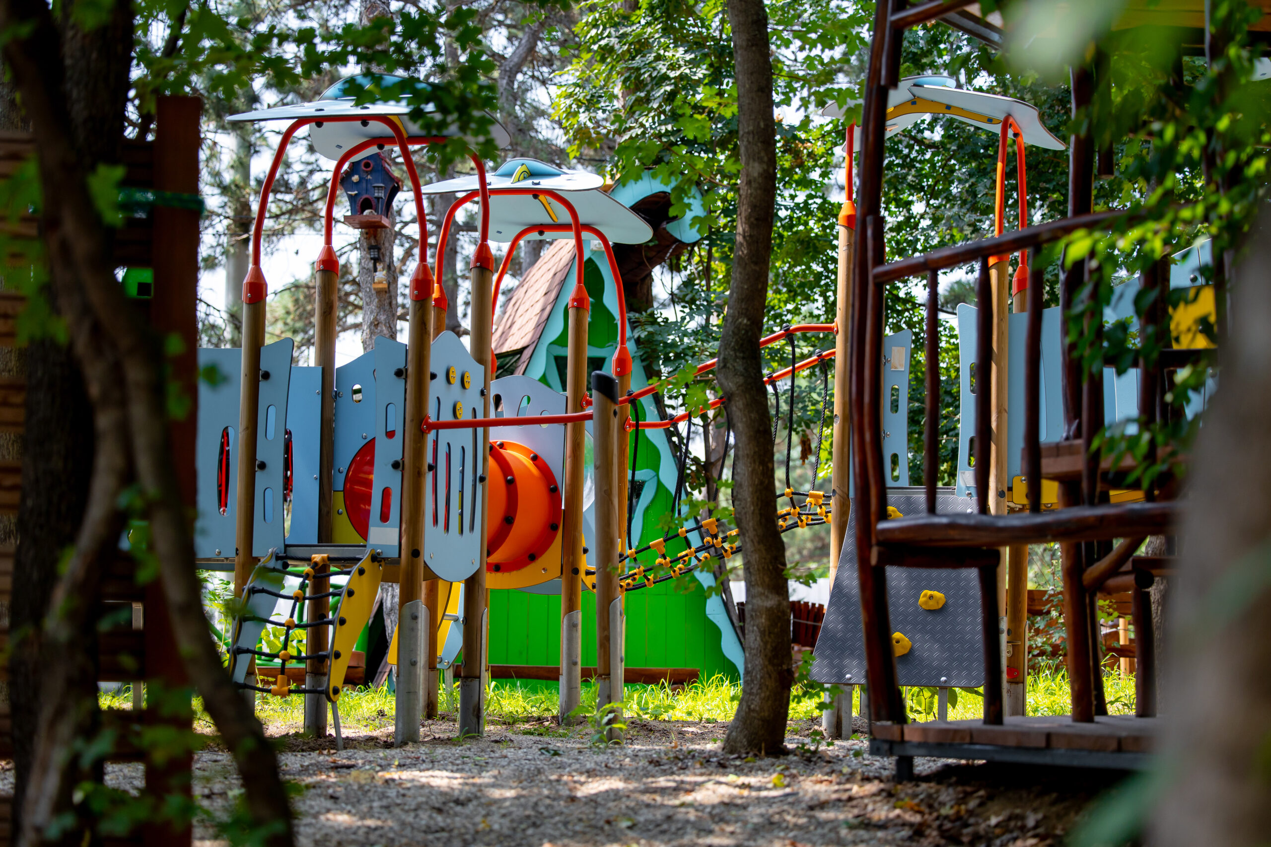 Magic Woodland