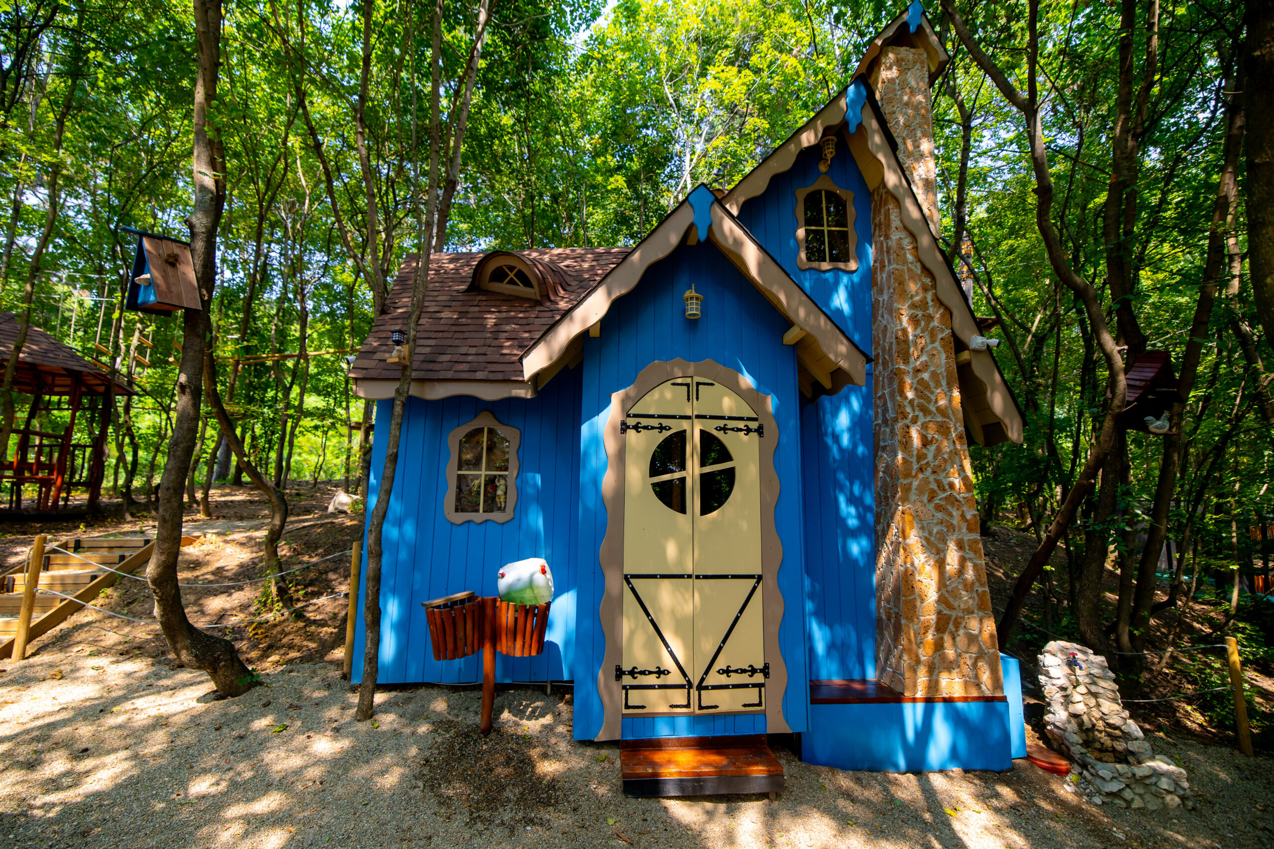 Magic Woodland