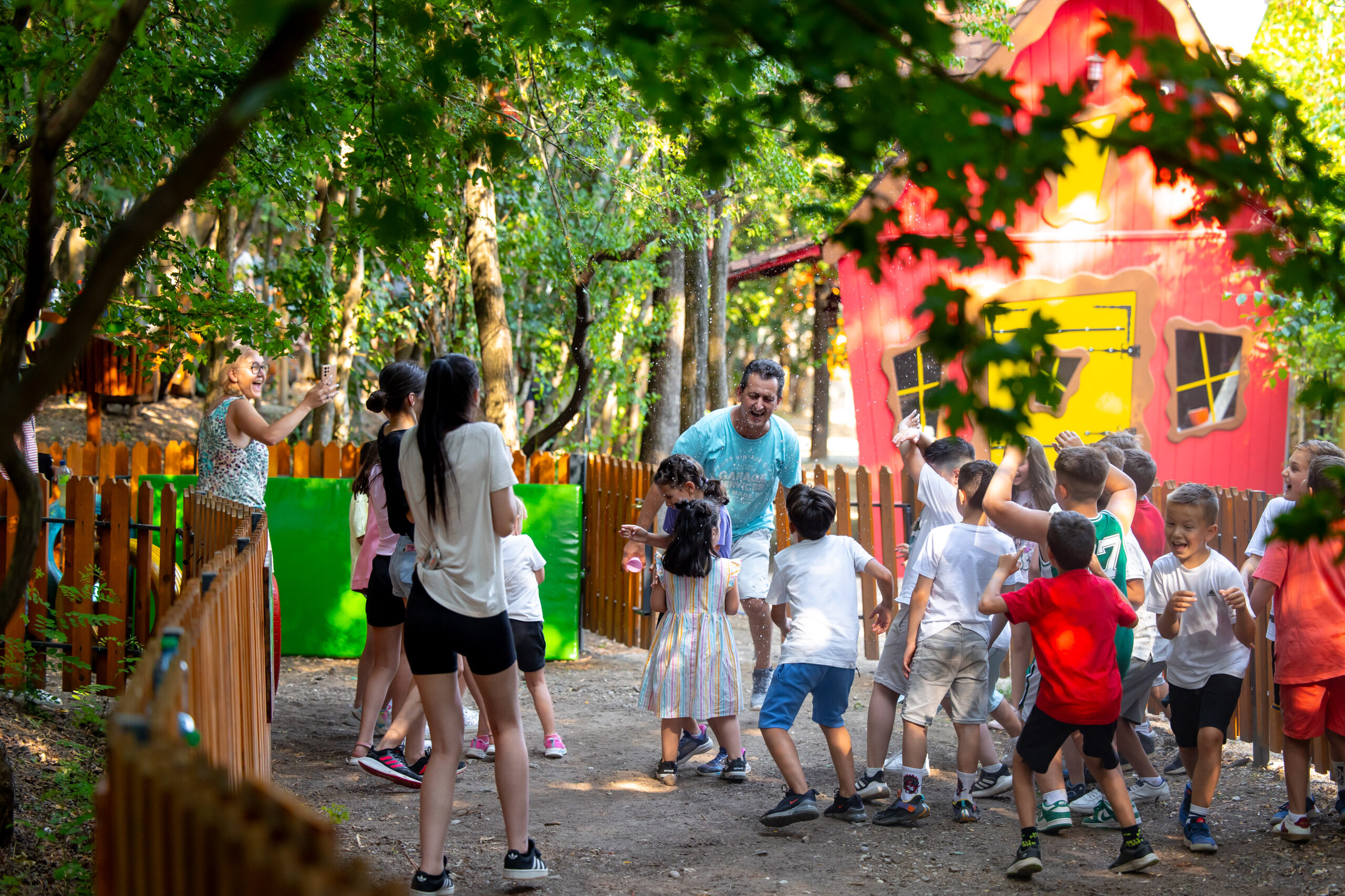 Excursie școlară Magic Woodland